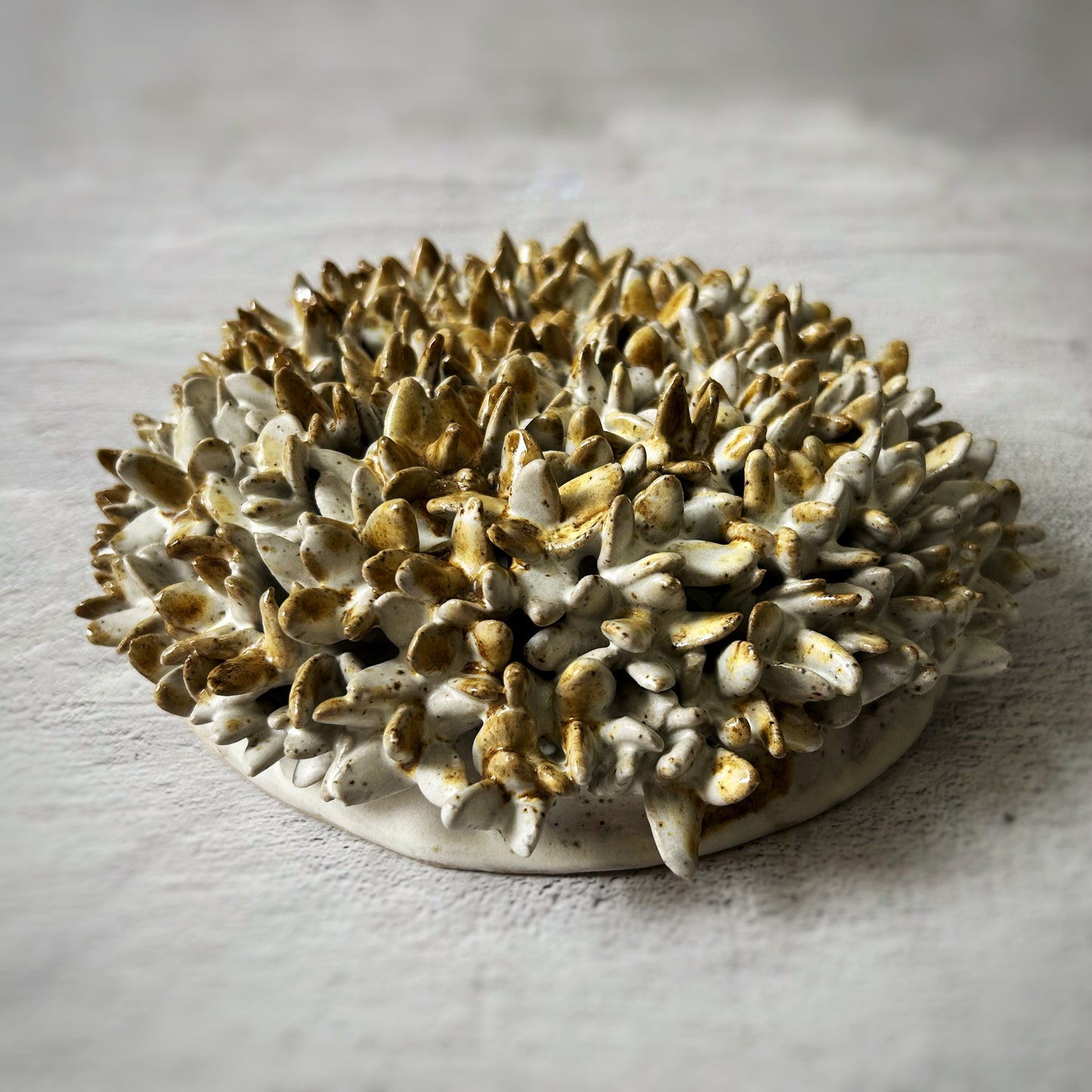Wall Flowers/ Escultura para colgar