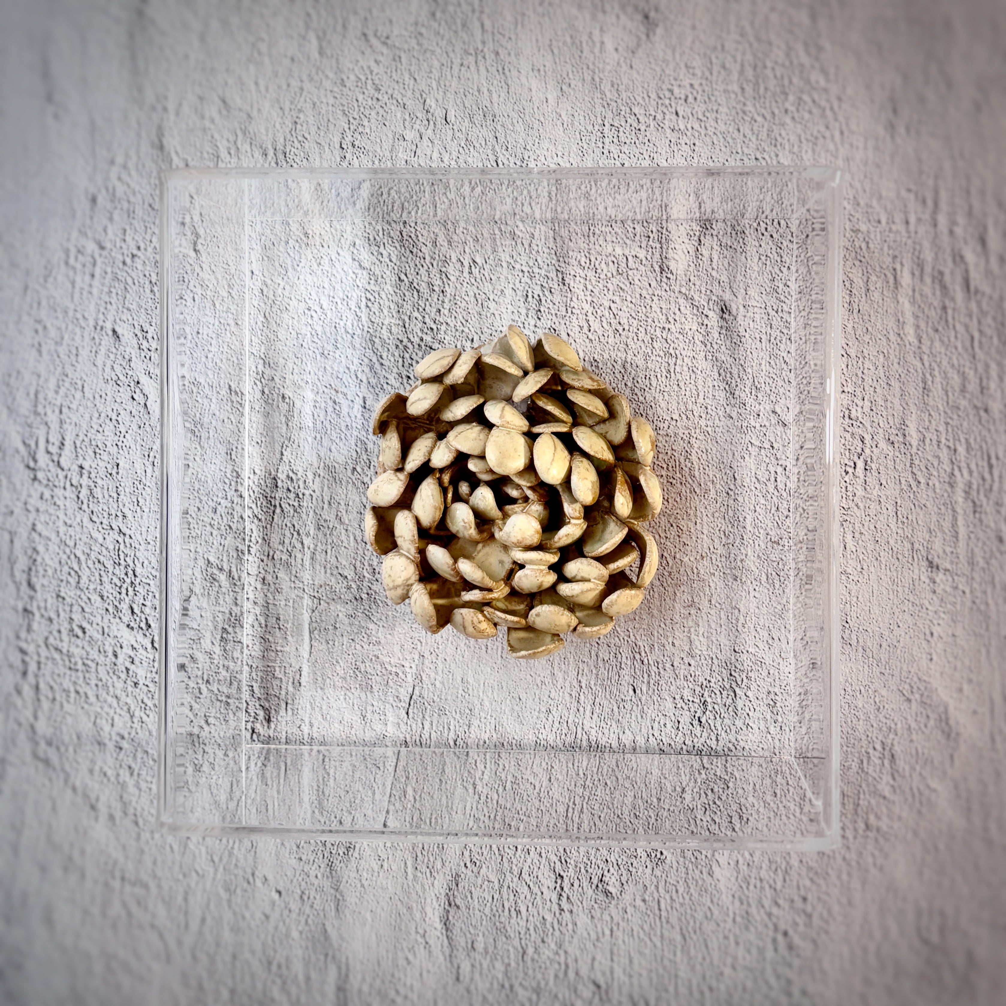 Escultura cerámica enmarcada en acrílico ' Crisantemo