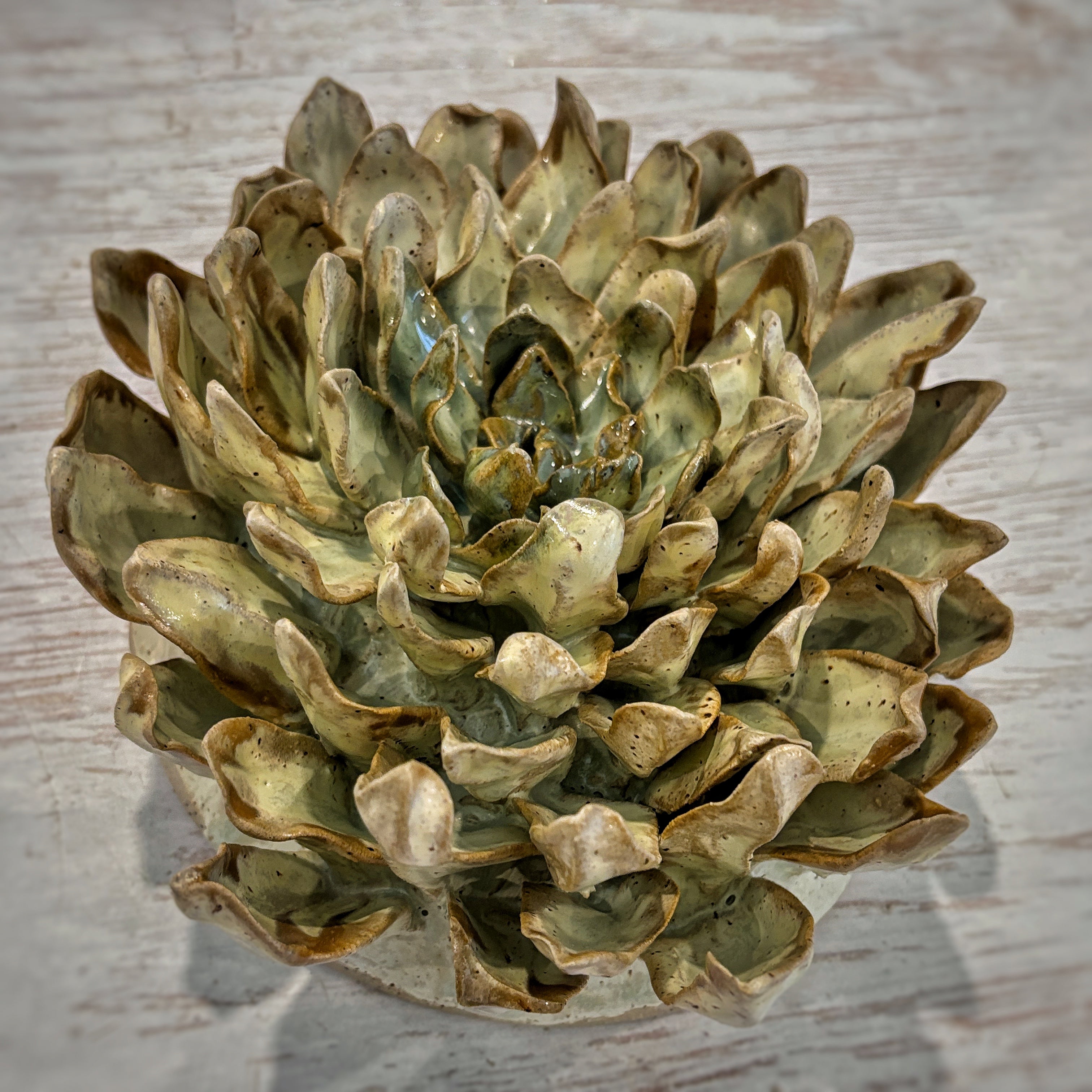 Wall Flowers / Escultura para colgar