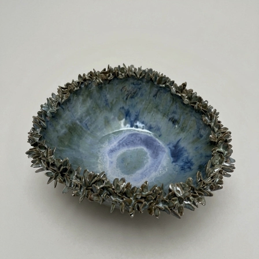 Bowl de Ceramica Suculentas