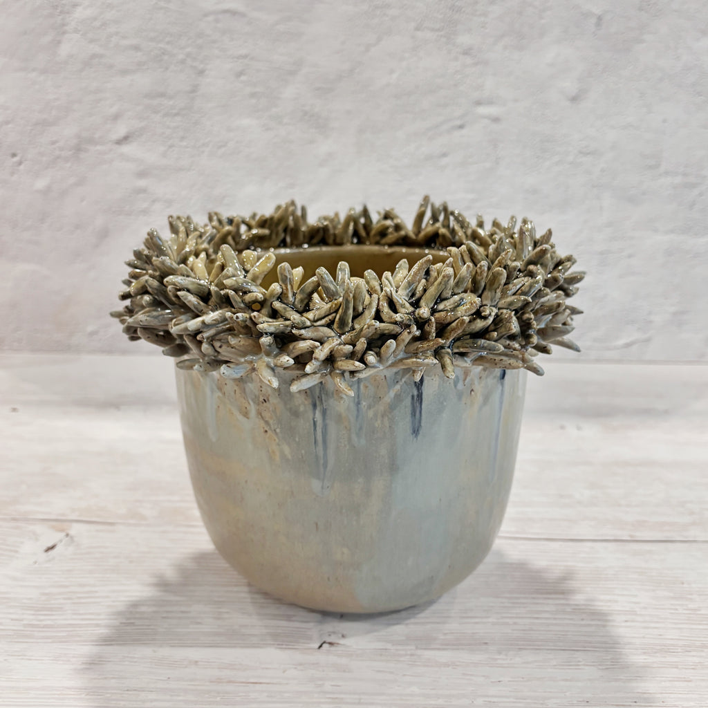 Vasija Macetero Azul y arena Suculentas