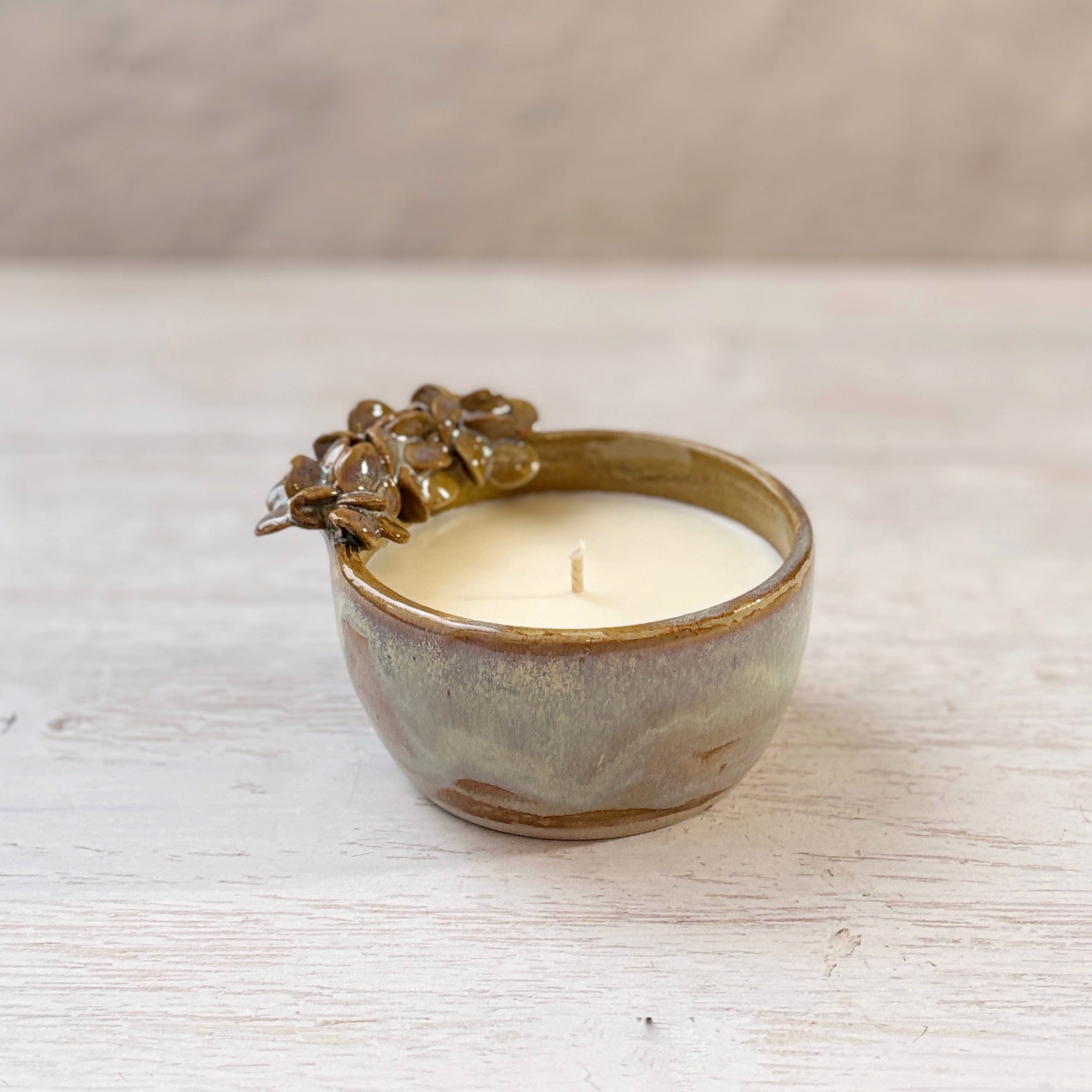 Velas aromáticas en bowl de Cerámica - suculentas playa