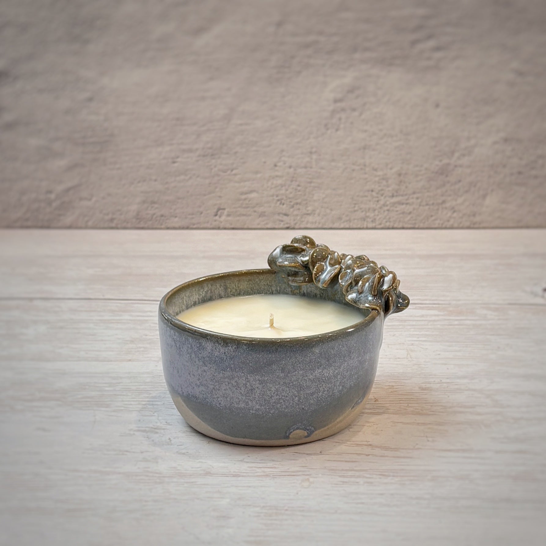 Velas aromáticas en bowl de Ceramica - suculentas azul