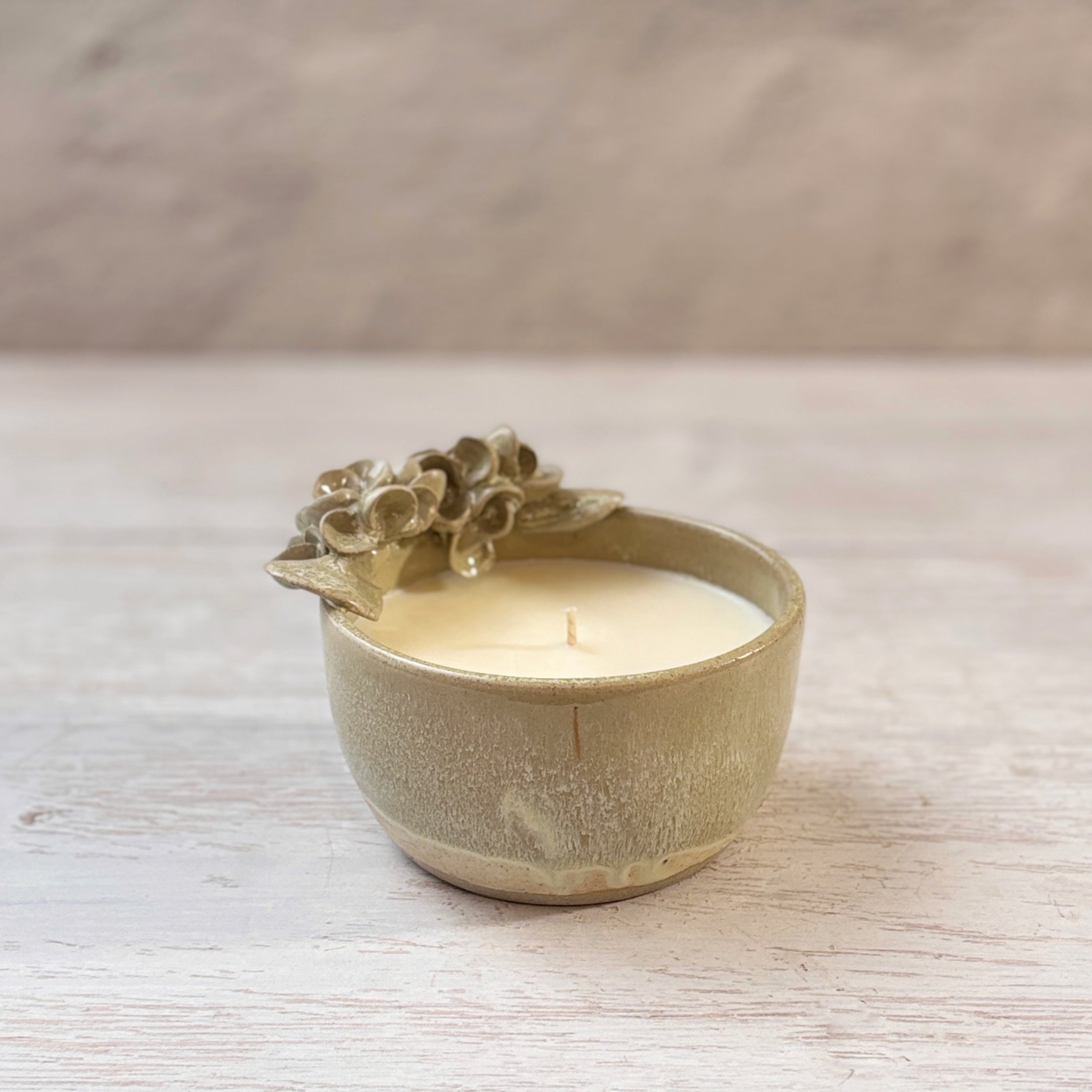 Velas aromáticas en bowl de Cerámica - suculentas agua