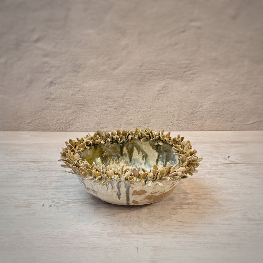 Bowl orgánico suculentas - en verdes y arena