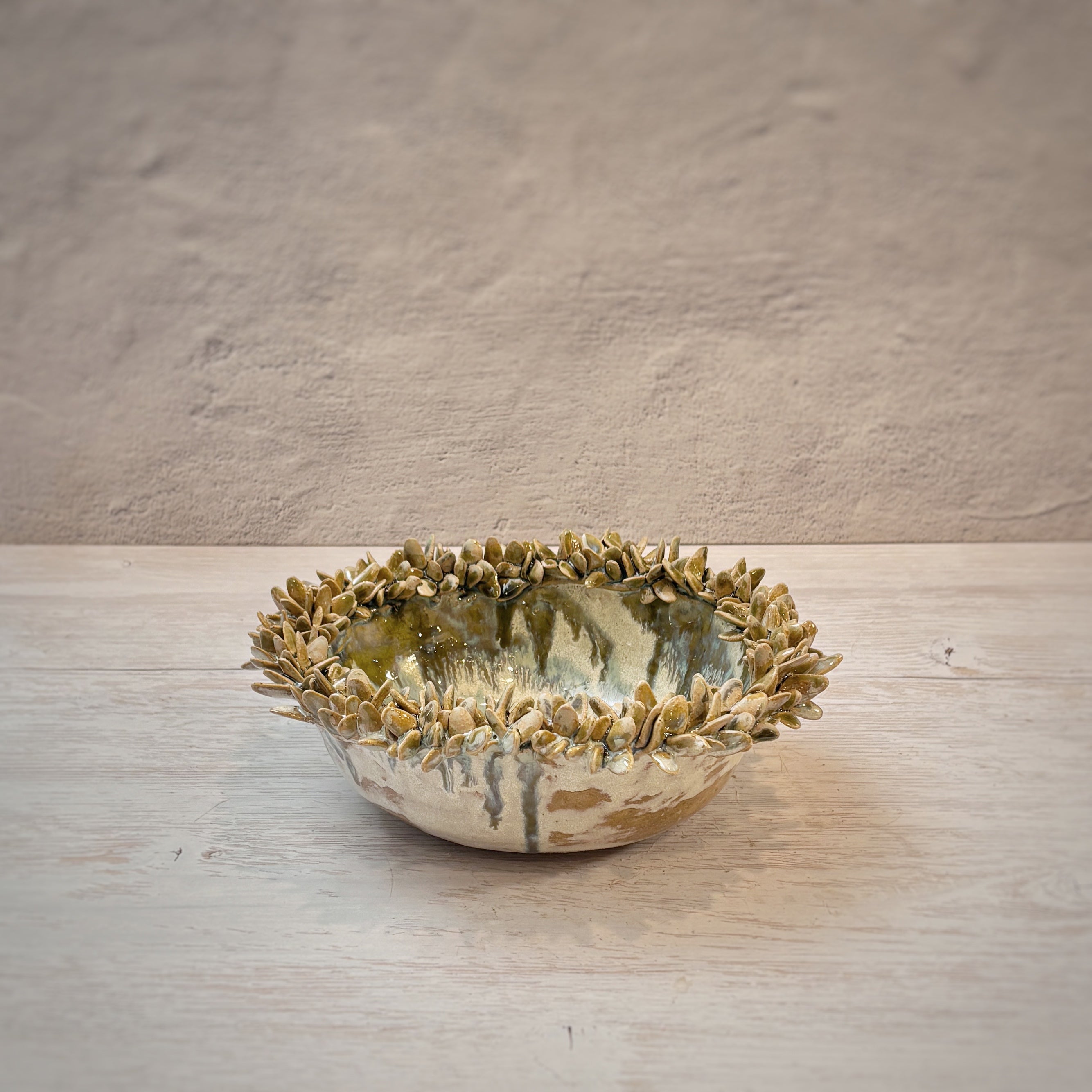 Bowl orgánico suculentas - en verdes y arena