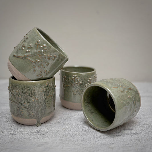 Set de 4 Vasos Botánicos