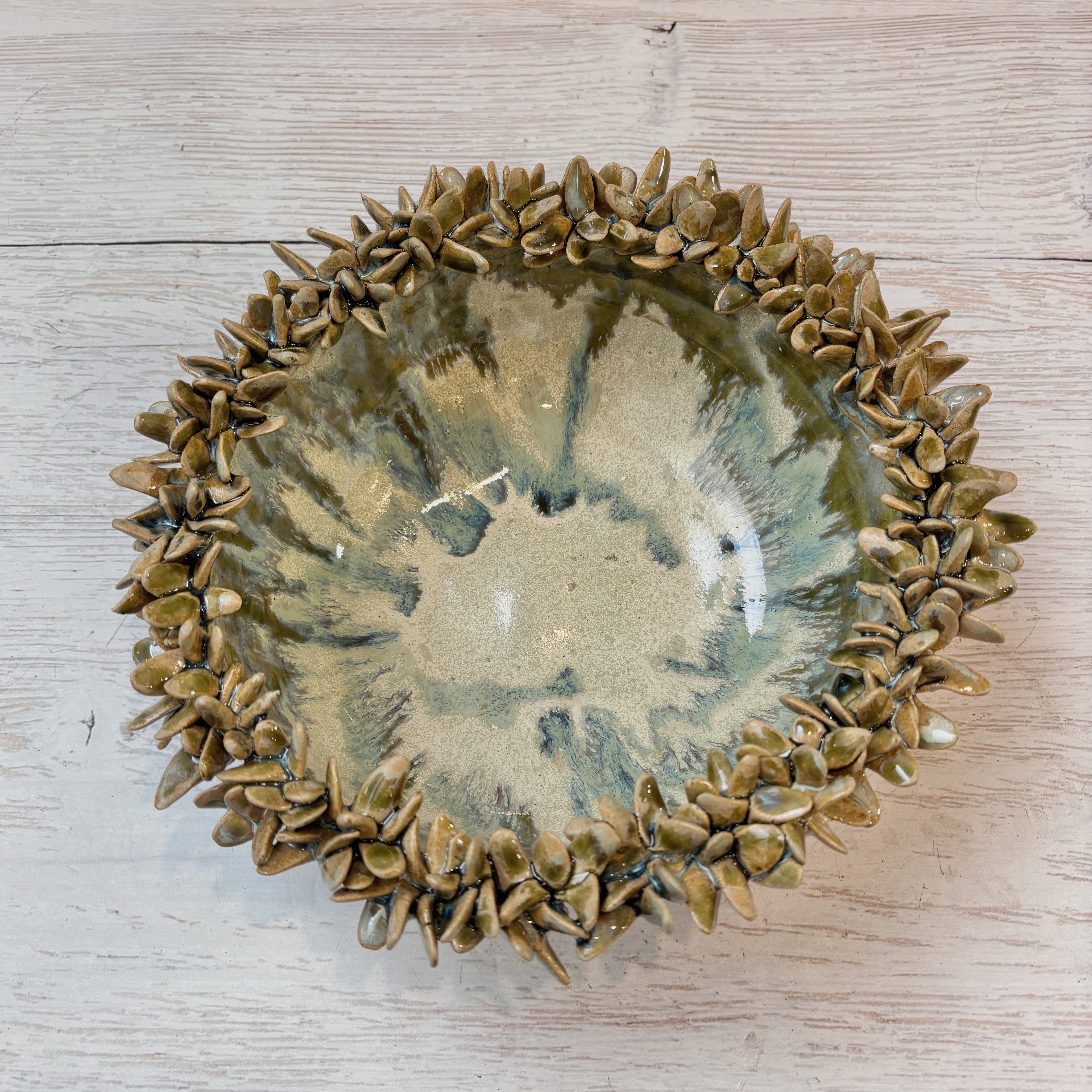 Bowl orgánico suculentas - en verdes y arena