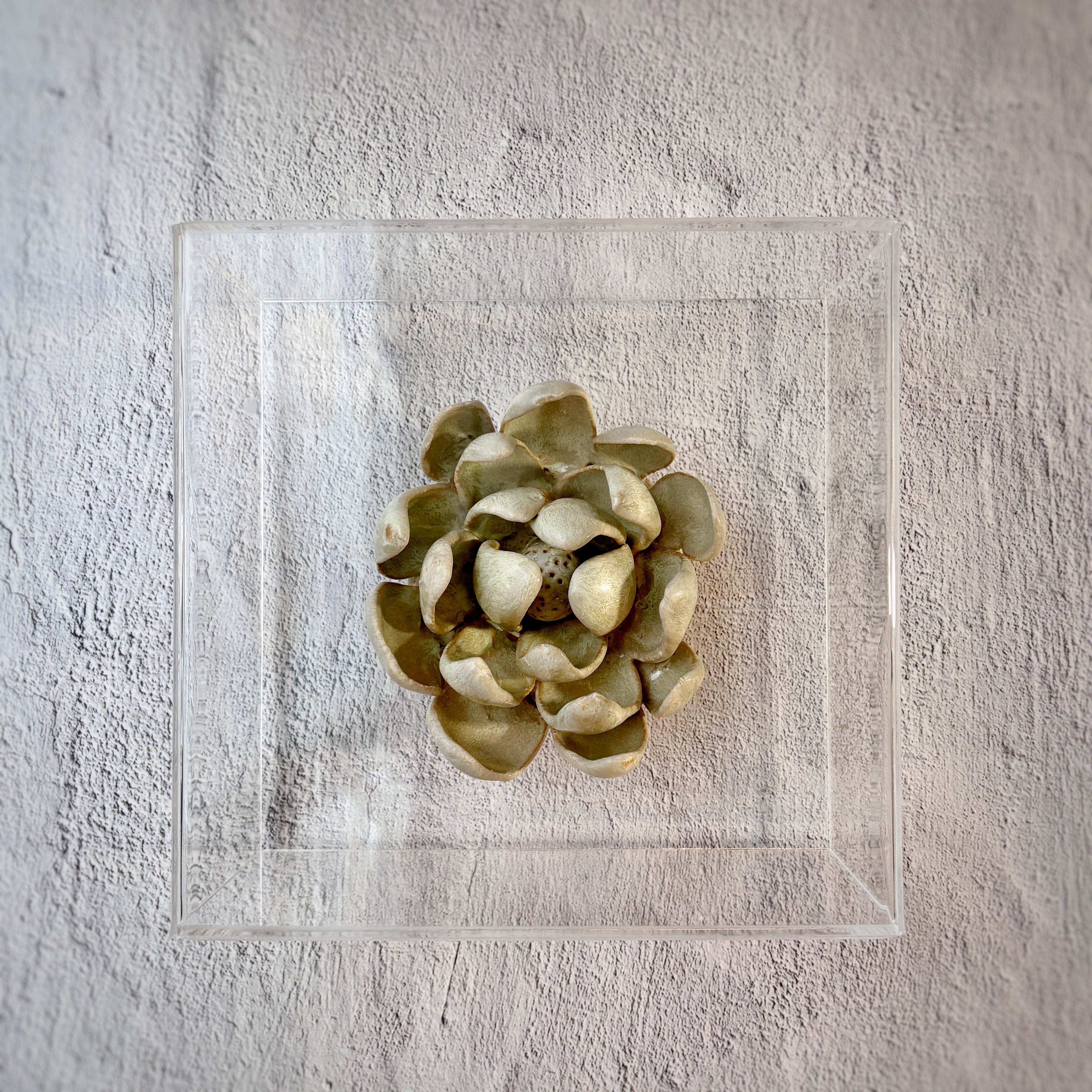 Escultura cerámica enmarcada en acrílico