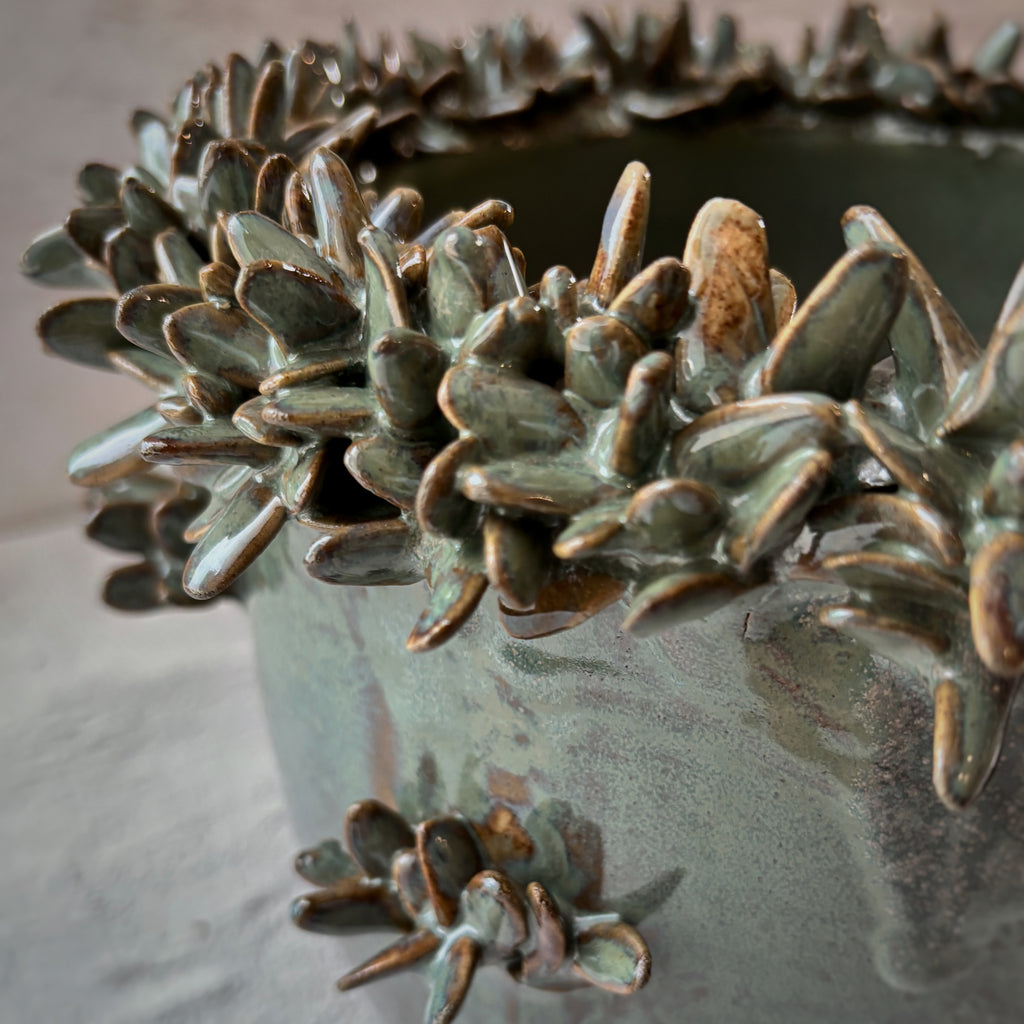 Vasija Macetero verde - Suculentas full