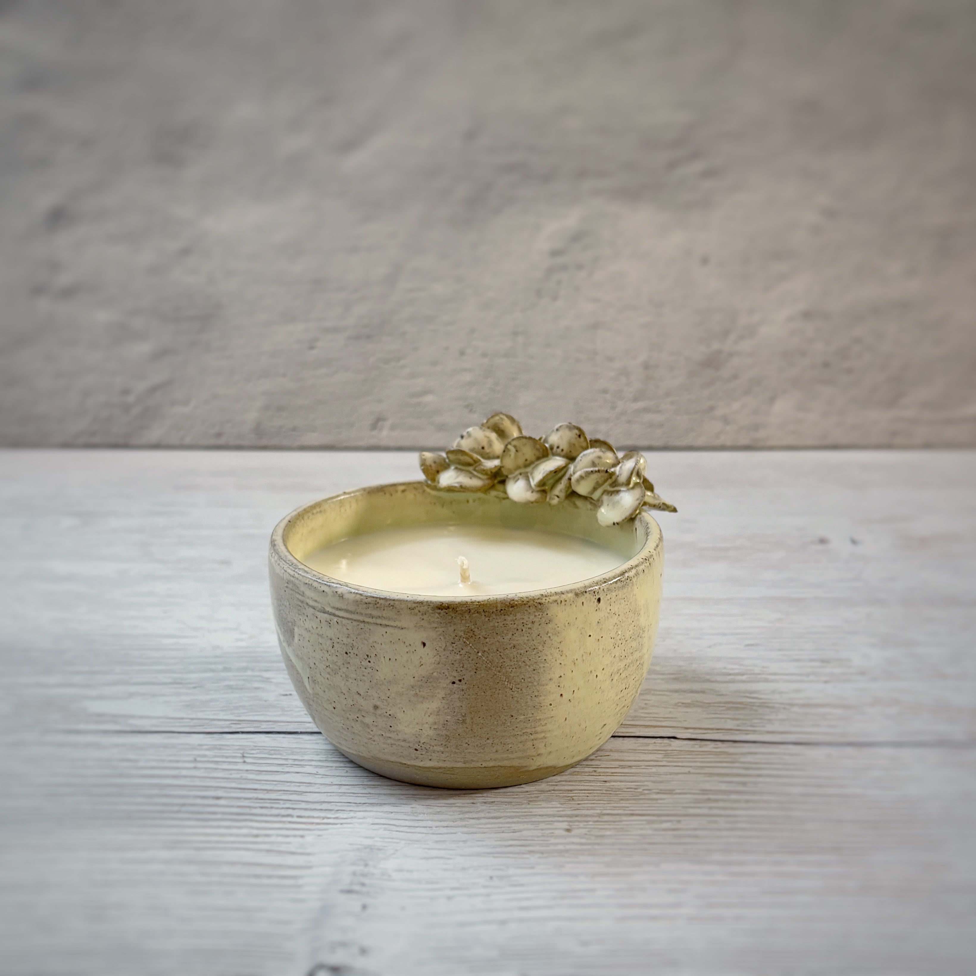 Velas aromáticas en bowl de Ceramica - suculenta arena