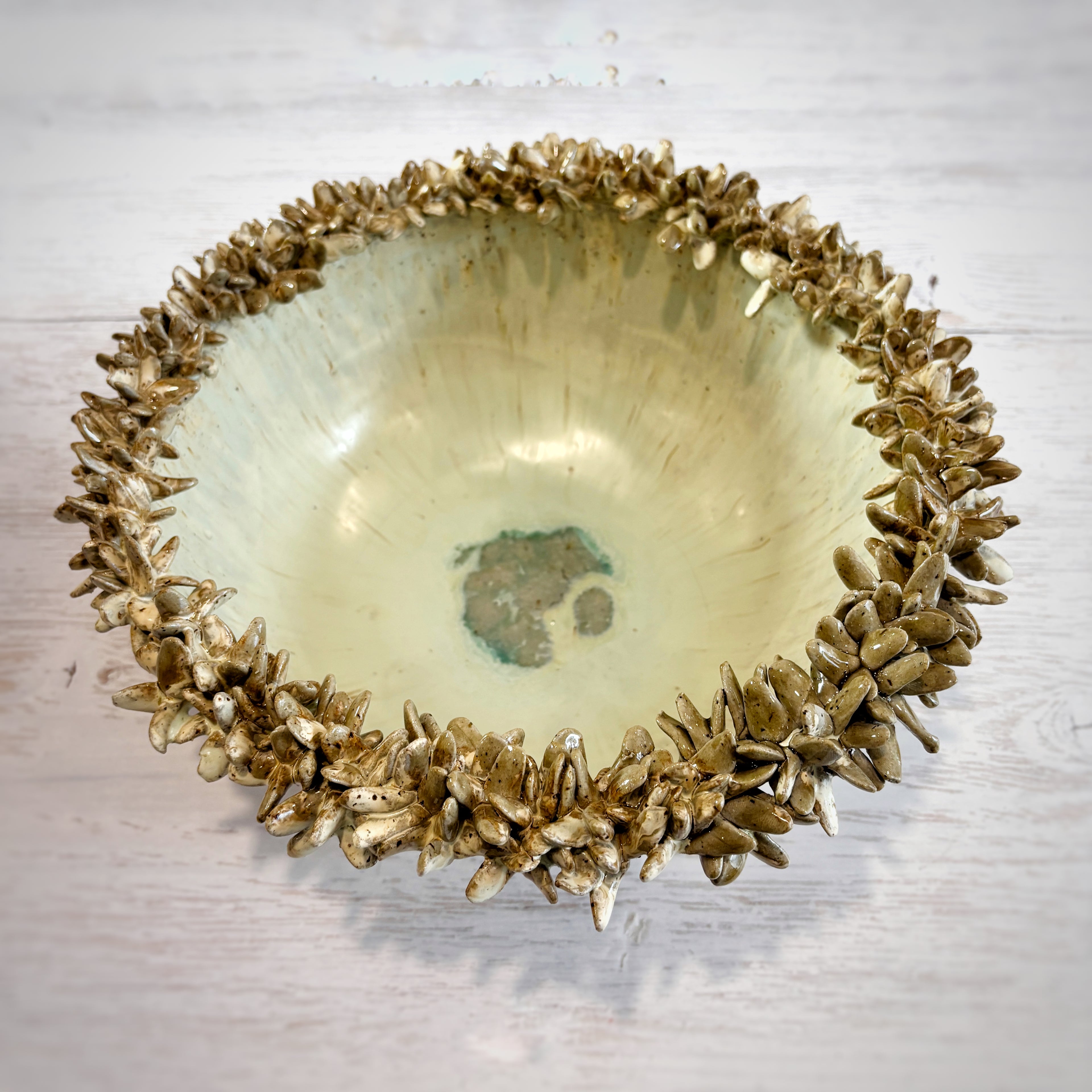 Bowl orgánico con bordes de suculentas - en verdes y arena