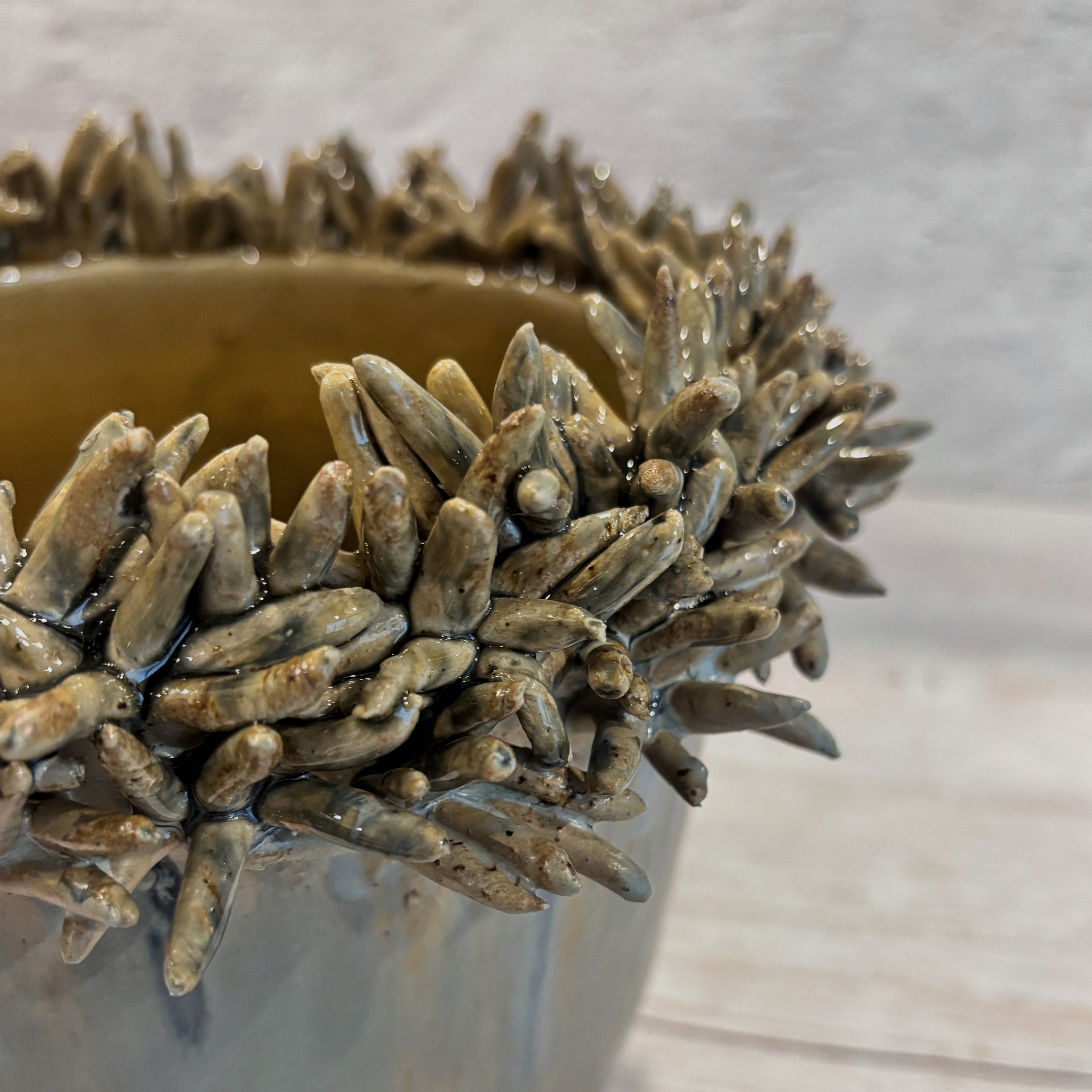 Vasija Macetero Azul y arena Suculentas