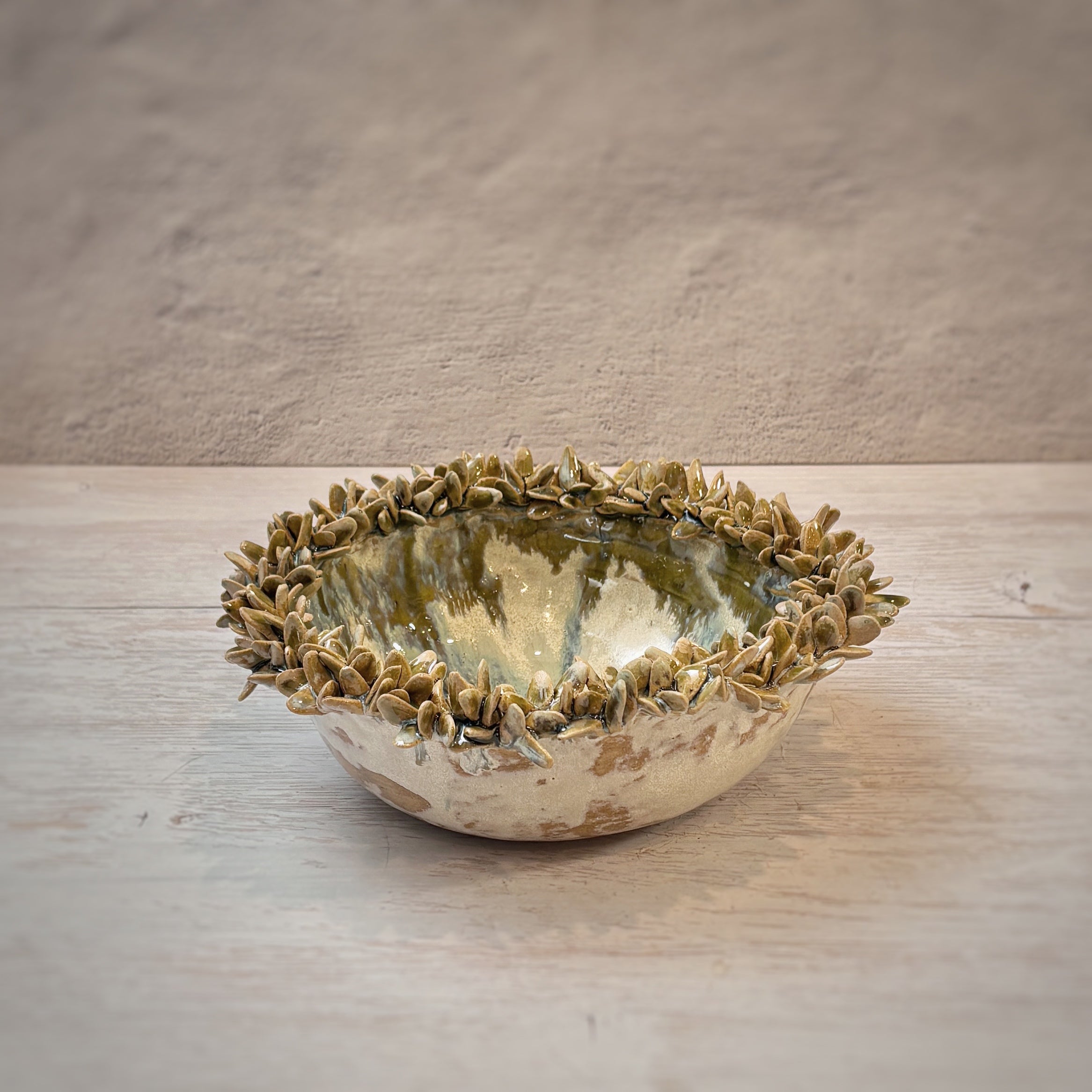 Bowl orgánico suculentas - en verdes y arena
