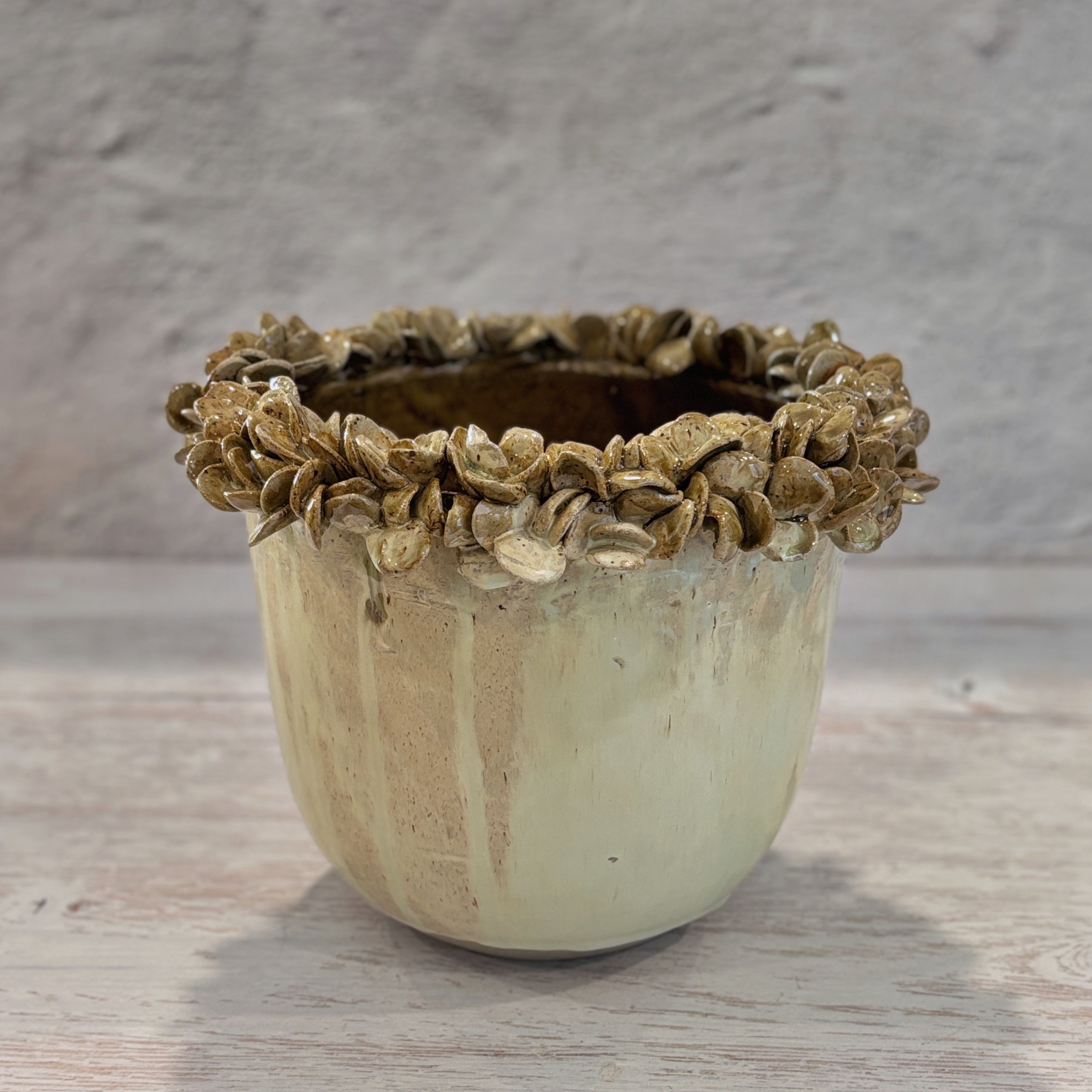 Vasija Macetero verde y arena Suculentas